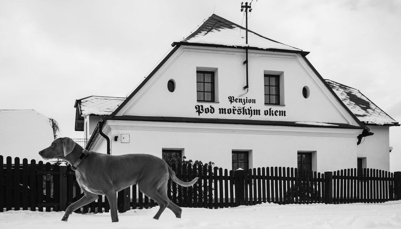 Pension Pod Morskym Okem Karlovice  Eksteriør billede